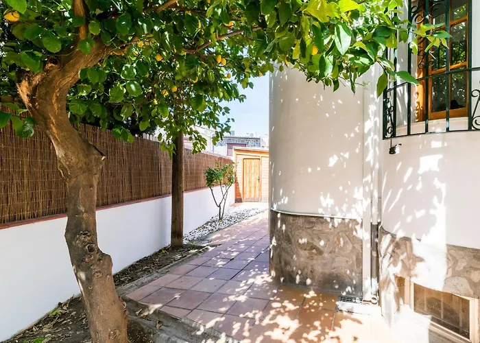 Amalia גרנדה